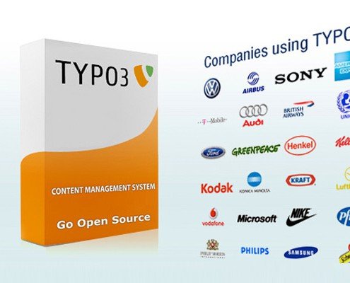 Companies using typo3