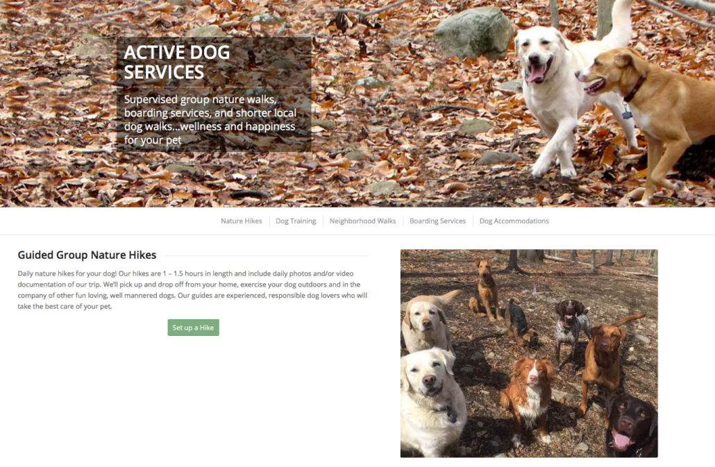 active-dog-nature-hikes