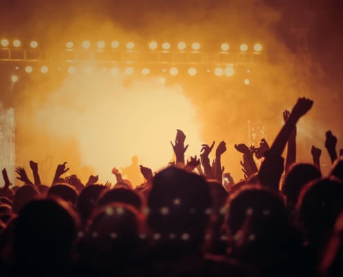 cheering audience at a rock concert