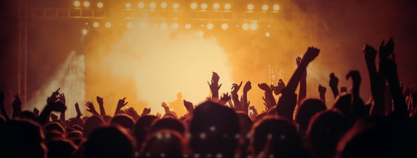 cheering audience at a rock concert