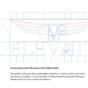 Logo Design Phoenix
