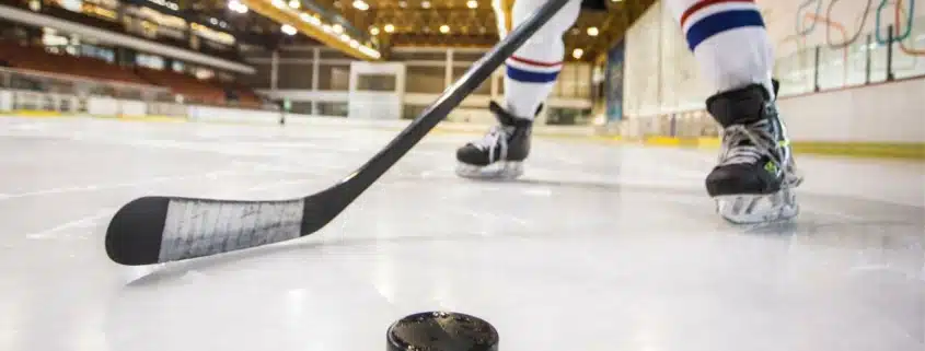 seo-image-alt-tags-ice hockey